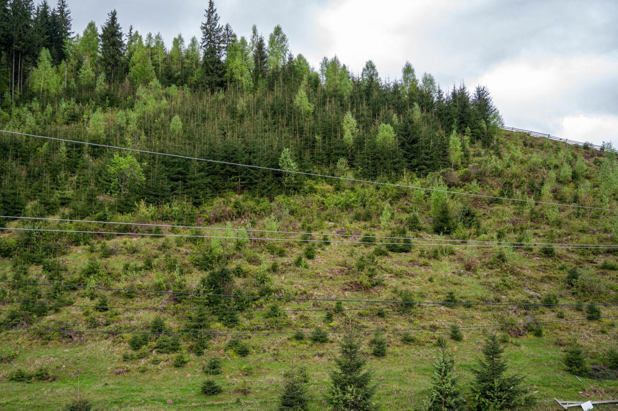 Viktan Bukovel